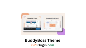 BuddyBoss Theme