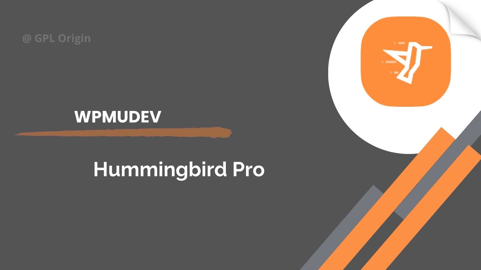 Hummingbird Pro